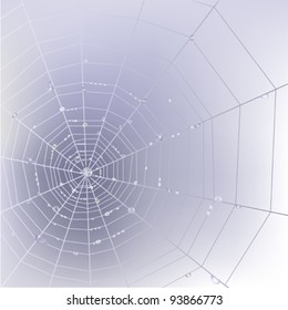 Stylish background with spider web with transparent shining water drops.