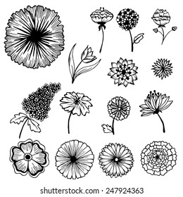 stylish beautiful  flower set on blurred background concept. Vector template for web and mobile design