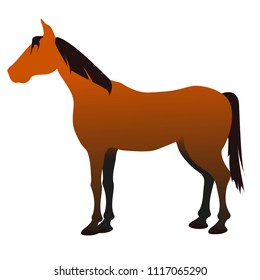 Stylish, beautiful, horse. Pet, horse riding, equestrian sport, wild horse, speed, competition, horse racing. Thoroughbred, purebred. Modern vector flat design image isolated on white background.