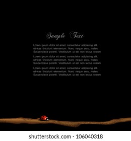 Stylish black background with ladybird. Vector eps10