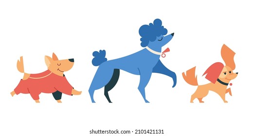 Stylish bright dogs side view. Pets for a walk in overalls, collars. Flat vector modern characters.