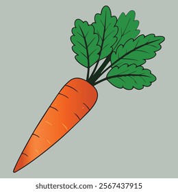 Stylish Carrot Vector Illustration for Healthy Culinary Projects
