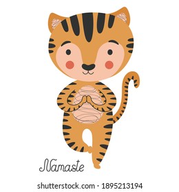 Stylish cartoon smiling illustration of tiger cub in yoga asana on white background. Feline in a tree pose and calligraphic inscription Namaste. Graphic design, poster, sticker, t-shirt print. Vector.