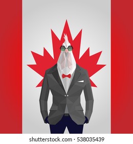 Stylish cock in black jacket . Canada flag background.