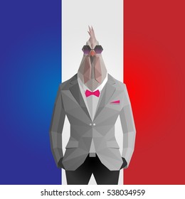 Stylish cock in gray jacket . France flag background.