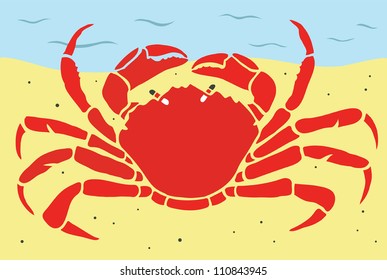 Stylish Crab On a Beach