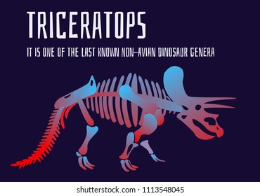 Stylish dinosaur bones, skeleton dinosaur with inscription description. Triceratops, giant creature, Herbivorous, horned, powerful, strong Modern vector flat design image isolated on black background