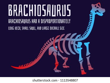 Stylish dinosaur bones, skeleton dinosaur with inscription and description. Brachiosaurus mighty, strong, herbivorous, long neck, small head, large mass. Modern vector flat design image isolated on 