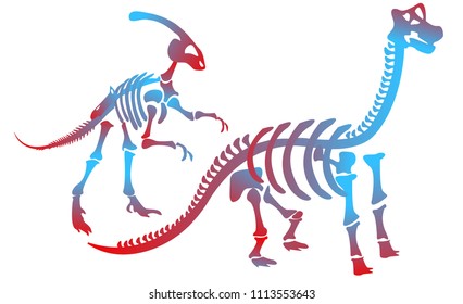 Stylish dinosaur bones, skeleton dinosaur . Parasaurolophus,Brachiosaurus mighty, strong, herbivorous, long neck, small head, large mass. Modern vector flat design image isolated on white background