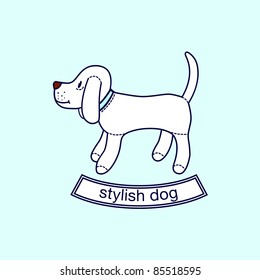stylish dog