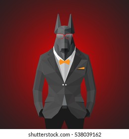 Stylish dog in gray jacket . Red glow background.