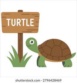 Stylish drawing of turtle and name plate on a white