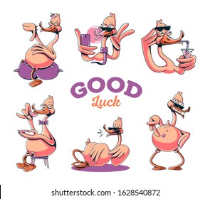 Stylish duck stickers set. Illustrations for t-shirts, posters, sweatshirts and souvenirs. Vector