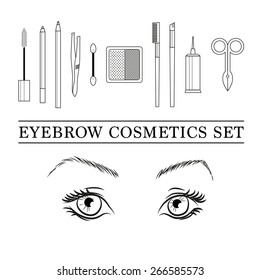  Stylish eyebrow make up collection. Vector guide.