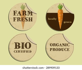 Stylish Farm Fresh label and sticker template with carrot. Mock up design. Retro colors. Best for natural shop, organic fairs, eco markets and local companies. Vector illustration