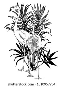 
Stylish flamingo print. Beach towel, postcard. Flamingo, palm trees. Tropical background.