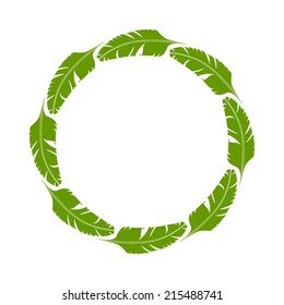 Stylish floral background. Nature vector frame with place for text.Tropical elements. Vector illustration.