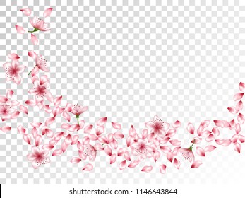 Stylish flower petals flying vector background. Spring blossom elements, cherry, peach or apple bloom petals falling windy vector design.