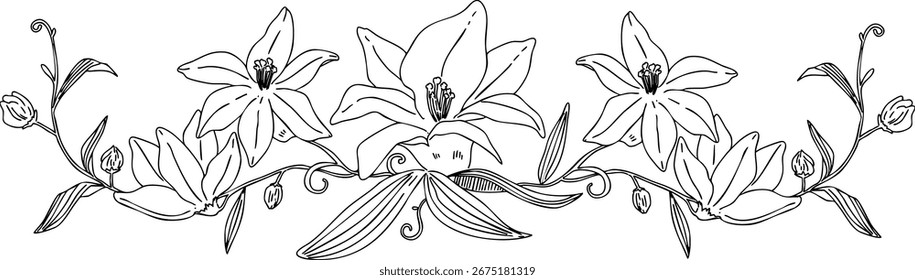Design de etiqueta de quadro elegante com desenhos de linhas desenhadas à mão de flores de lírio, monocromáticas, simples