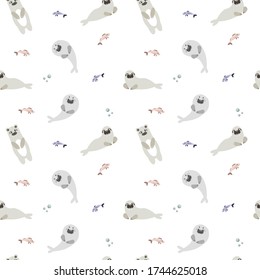 stylish gentle seamless pattern with arctic and antarctic marine animals walrus seal fish for textile packaging design flat vector illustration