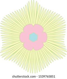 Stylish geometric floral illustration on white background with softly coloured petal spray design