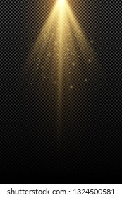Stylish gold light effect isolated on a transparent background. Golden rays. Lamp beams. Flying golden magical dust. Sunlight. Vector illustration. EPS 10