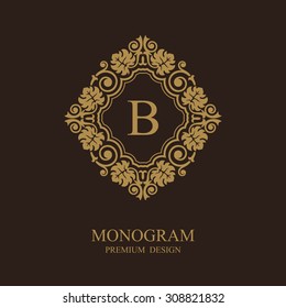 Stylish graceful monogram template, Elegant line art logo design in Art Baroque style, Vector illustration Eps 10