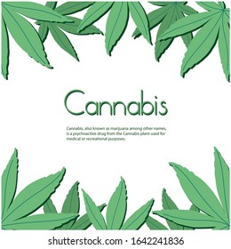 Stylish green frame made from hemp leaves. Marijuana flat design. Isolated on a white background.