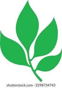 Stylish green leaf cluster vector illustration. Ideal for nature, eco-friendly designs, botanical art and environmental themes. Download this vibrant graphic for creative projects and branding.