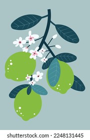 Stylish green lemon flowering branch vector illustration. Citrus poster design. Fruit t-shirt print on blue background.