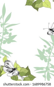 Stylish greeting card green twig of birch a white butterfly, cartoon drawing, escape with foliage. Silhouette of an olive branch with fruits. White isolated. Vector theme of the spring, summer season