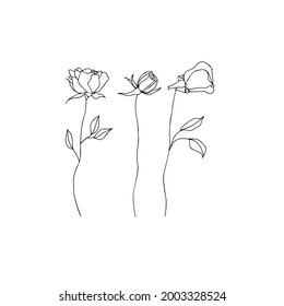 Stylish hand drawn graphic floral elements. Doodle vector illustration of rose isolated on white background for wedding design, logo and greeting card.