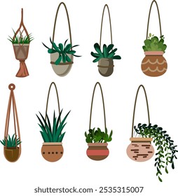 Stylish Hanging Plant Pots with Succulents