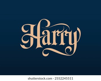 Stijlvolle Harry Naam Vector Design, Handgeschreven Harry Signature Logo,