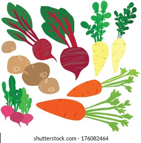 Stylish Healthy Winter Vegetable Set