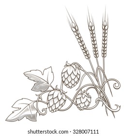 Stylish hop branch hand drawn vector illustration