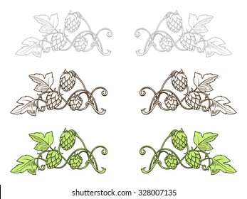 Stylish Hop Branch Hand Drawn Vector Illustration