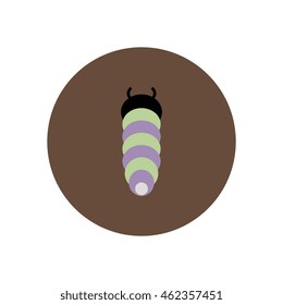 stylish icon in color  circle insect caterpillar 