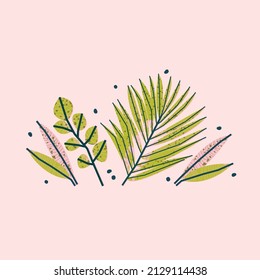 Stylish illustration with tropical leaves on a pink background. Vector card, print, design