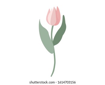 It is a stylish illustration of a tulip.
