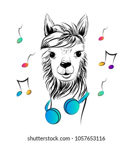 Stylish lama animal with headphones and music. Greeting card design, t-shirt print. Creative Vector Illustration.
