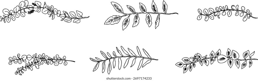 Desenho de linha elegante quadro botânico, plantas, folhas, linhas