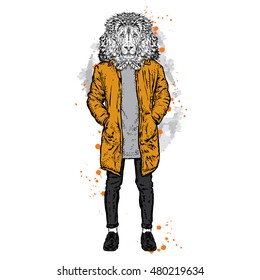 Stylish lion in a jacket and jeans. Vector illustration for greeting card, poster, or print on clothes. Fashion & Style.