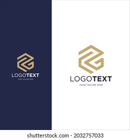 Stylish Logo design Letter PG vector logotype for your company