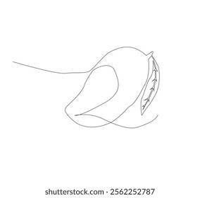 Stylish mango on white background. Vector illustration.