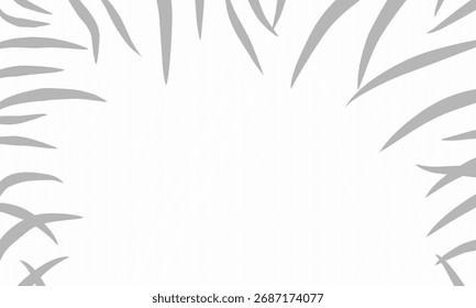 Stylish and minimalist vector border (frame) with palm or tropical leaf illustration in monochrome style.