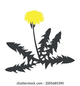 Stylish minimalistic dandelion illustration. Simple vector graphics in two colors. Dark gray and yellow shades. Suitable for postcard, cover, sticker, poster, banner and logo.  EPS 10
