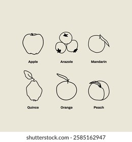 A stylish and modern collection of fruit icons. This vector illustration features various fruits, including an apple, orange, mandarin, peach, quince and arazole, all depicted with a minimalist aesthe