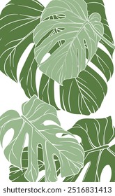 Stylish and modern pattern with monstera leaves in different shades of green on a white background, design for wallpaper, textile, packaging or as a background for web design