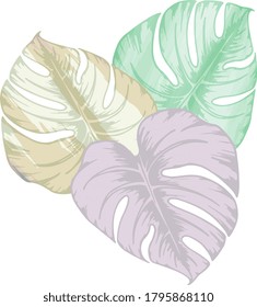 Stylish monstera leaves tropical seamless watercolor pattern. Tropical leaves summer painted seamless pattern. Jungle elements backdrop.